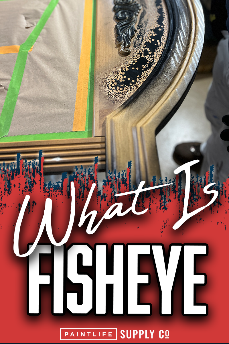 Fisheye blog by The Idaho Painter