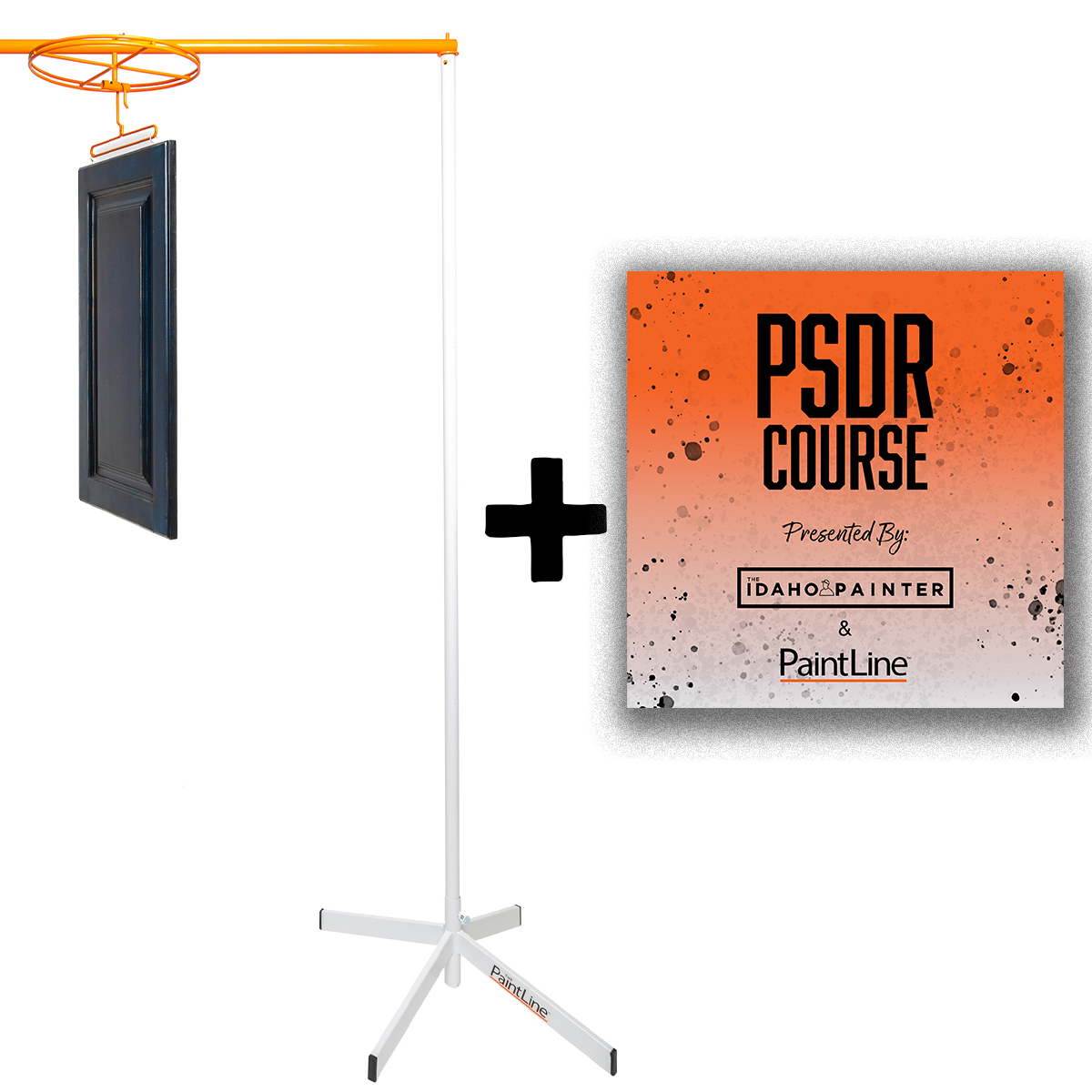 Promotional graphic for a PSDR Course with a stand and framed picture on a white background